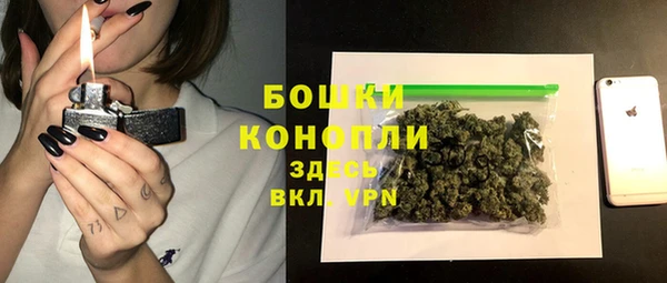 дмт Белокуриха