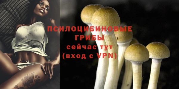 бутират Беломорск