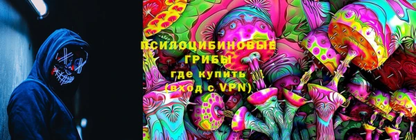 дмт Белокуриха