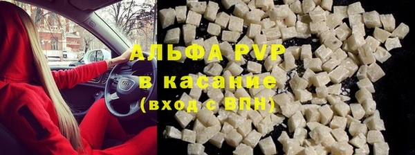 дмт Белокуриха