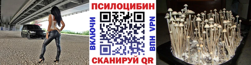 Псилоцибиновые грибы Cubensis  Маркс 