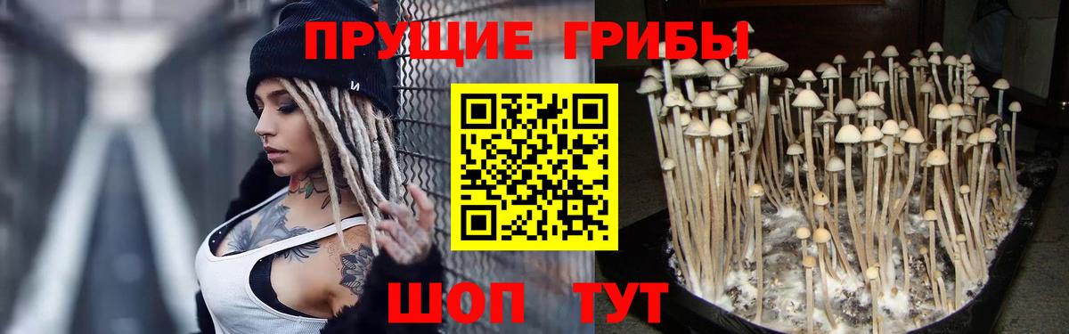Галлюциногенные грибы мицелий Маркс